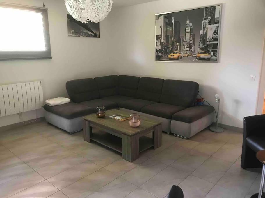 Tres Bel Appartement 3 Pieces + Jardin + Parking Divonne-les-Bains Εξωτερικό φωτογραφία